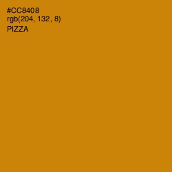 #CC8408 - Pizza Color Image