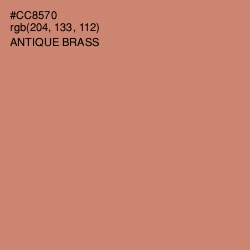 #CC8570 - Antique Brass Color Image