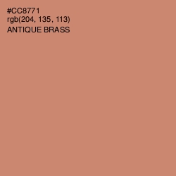 #CC8771 - Antique Brass Color Image