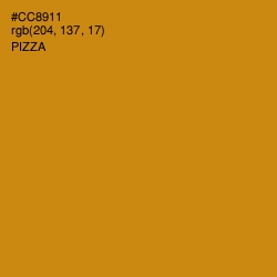 #CC8911 - Pizza Color Image
