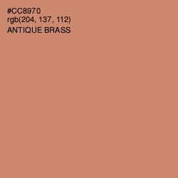 #CC8970 - Antique Brass Color Image
