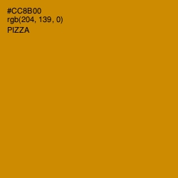 #CC8B00 - Pizza Color Image