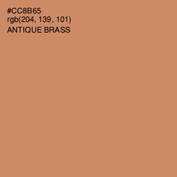 #CC8B65 - Antique Brass Color Image