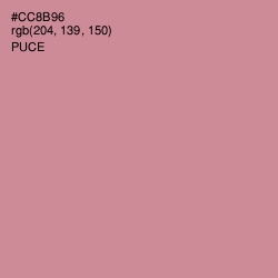 #CC8B96 - Puce Color Image