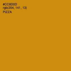 #CC8D0D - Pizza Color Image