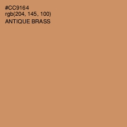 #CC9164 - Antique Brass Color Image