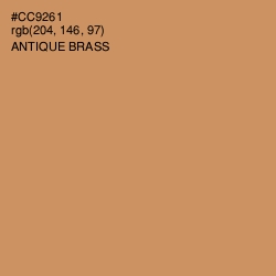 #CC9261 - Antique Brass Color Image