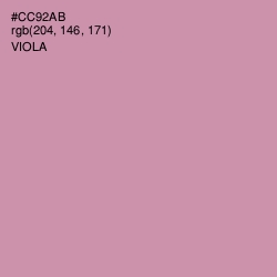 #CC92AB - Viola Color Image