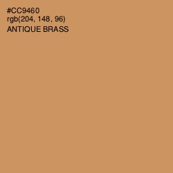 #CC9460 - Antique Brass Color Image