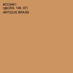 #CC9461 - Antique Brass Color Image