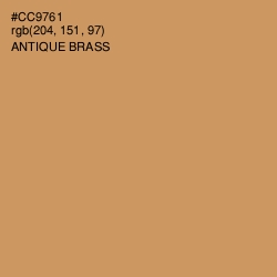 #CC9761 - Antique Brass Color Image