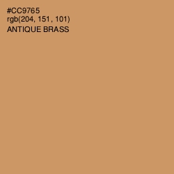 #CC9765 - Antique Brass Color Image