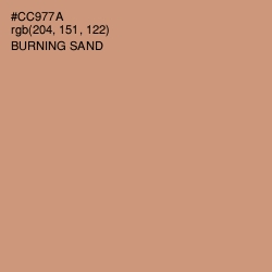 #CC977A - Burning Sand Color Image