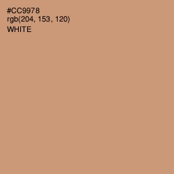 #CC9978 - Whiskey Color Image