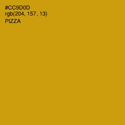 #CC9D0D - Pizza Color Image