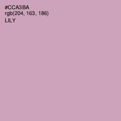 #CCA3BA - Lily Color Image