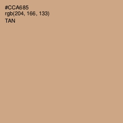 #CCA685 - Tan Color Image
