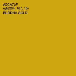 #CCA70F - Buddha Gold Color Image