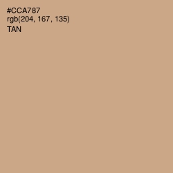 #CCA787 - Tan Color Image