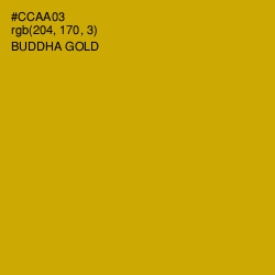 #CCAA03 - Buddha Gold Color Image