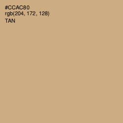 #CCAC80 - Tan Color Image