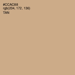 #CCAC88 - Tan Color Image