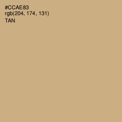 #CCAE83 - Tan Color Image