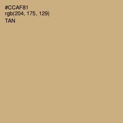 #CCAF81 - Tan Color Image