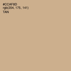 #CCAF8D - Tan Color Image