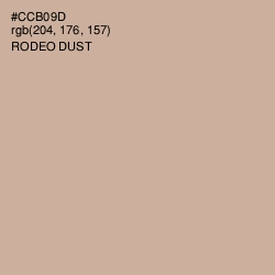 #CCB09D - Rodeo Dust Color Image