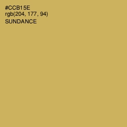 #CCB15E - Sundance Color Image