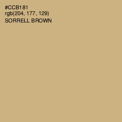 #CCB181 - Sorrell Brown Color Image