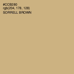 #CCB280 - Sorrell Brown Color Image