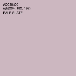 #CCB6C0 - Pale Slate Color Image