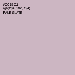 #CCB6C2 - Pale Slate Color Image