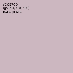 #CCB7C0 - Pale Slate Color Image