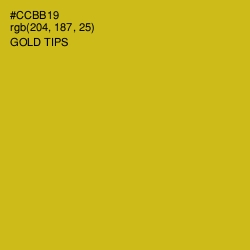 #CCBB19 - Gold Tips Color Image