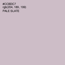 #CCBDC7 - Pale Slate Color Image
