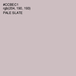 #CCBEC1 - Pale Slate Color Image