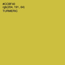 #CCBF40 - Turmeric Color Image