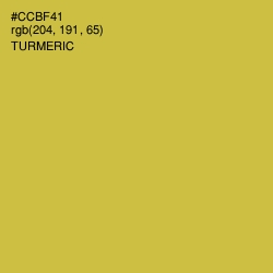 #CCBF41 - Turmeric Color Image