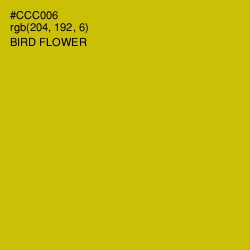 #CCC006 - Bird Flower Color Image