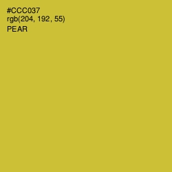 #CCC037 - Pear Color Image