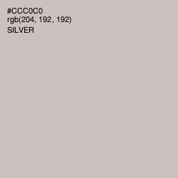 #CCC0C0 - Silver Color Image