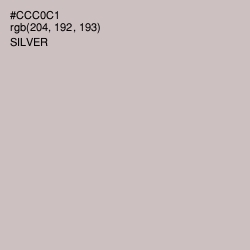 #CCC0C1 - Silver Color Image
