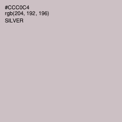 #CCC0C4 - Silver Color Image