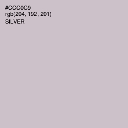 #CCC0C9 - Silver Color Image