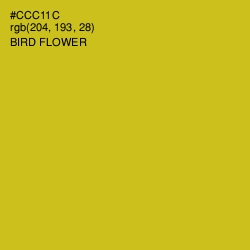 #CCC11C - Bird Flower Color Image