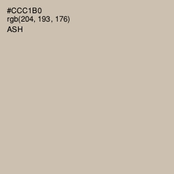 #CCC1B0 - Ash Color Image