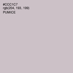 #CCC1C7 - Pumice Color Image